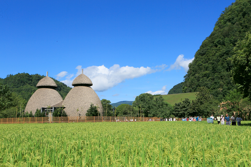 張家界黃龍洞：農(nóng)旅融合生態(tài)美，田園風(fēng)光引客來(lái)