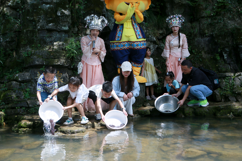 人工增殖放流百余尾幼苗，張家界黃龍洞“大鯢家園”再添新丁